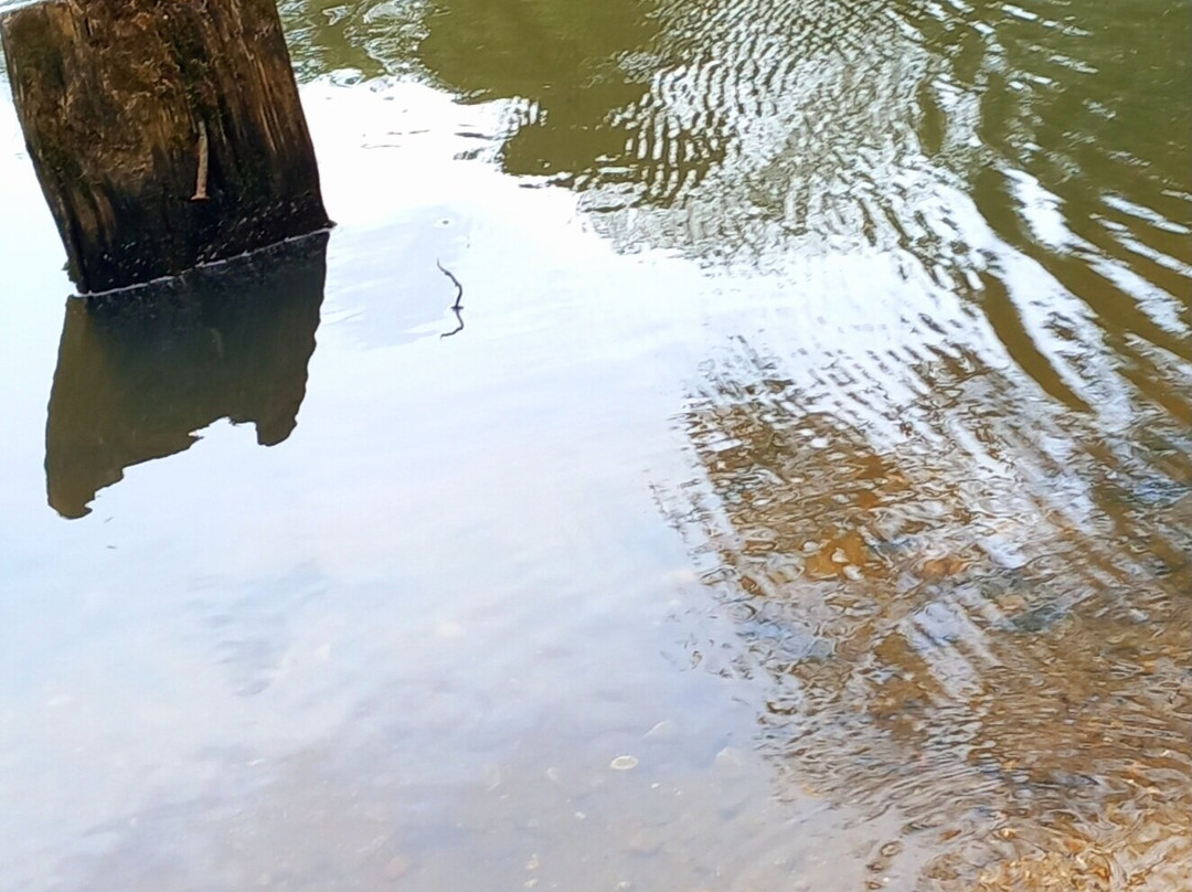 Stockgrove Country Park景点图片
