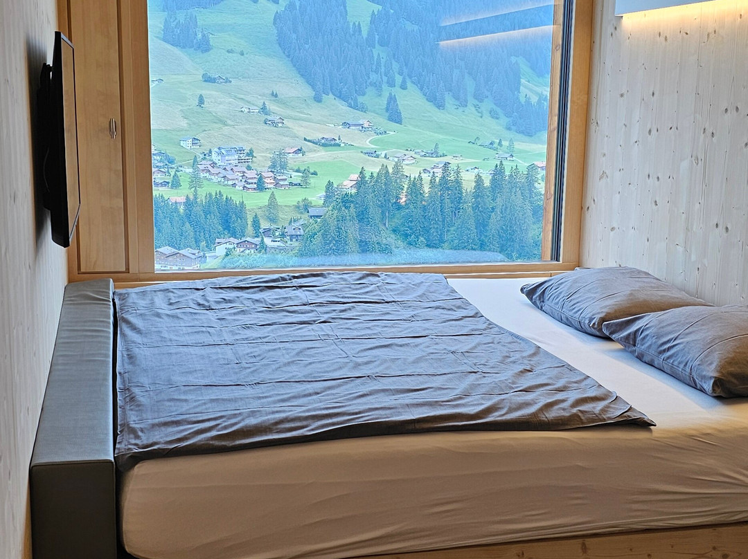 Revier Mountain Lodge Adelboden主图