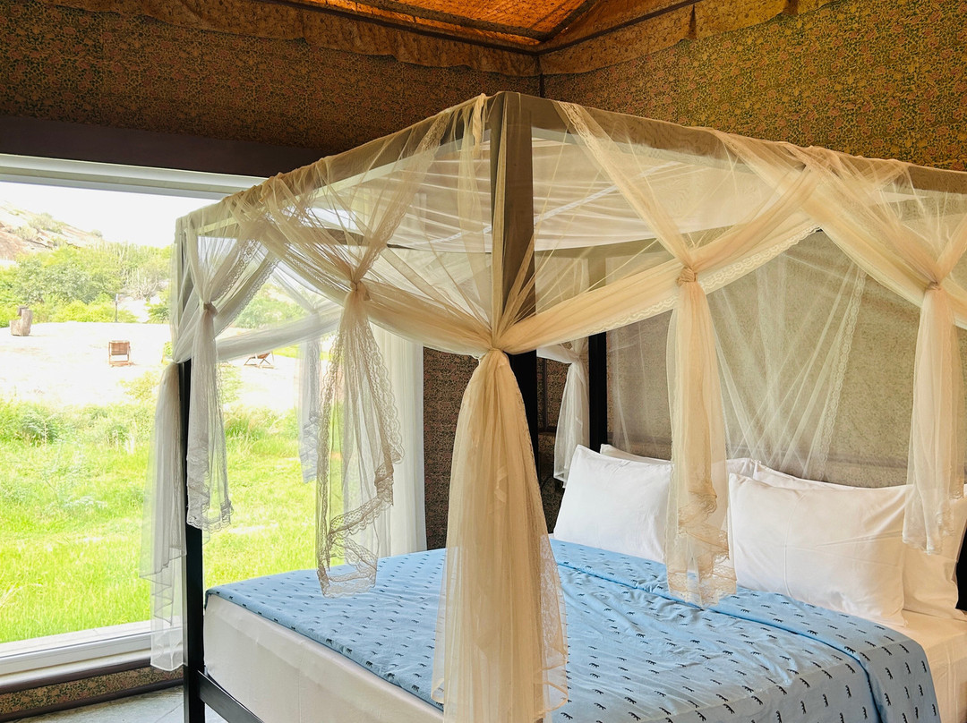 Brij Pola, Jawai | Luxury Jungle Camp With Private Pools主图