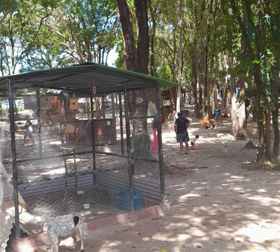 Bosque dos Sonhos景点图片