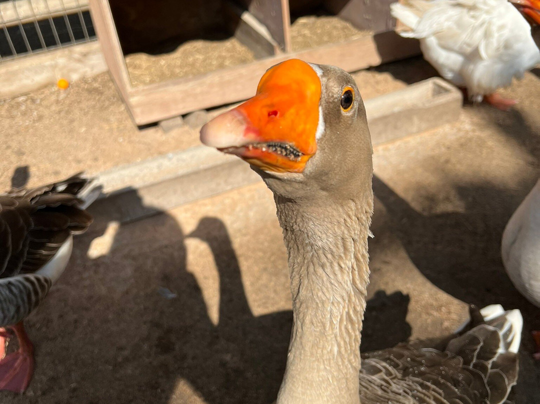 Campo Educativo-Concon必去景点