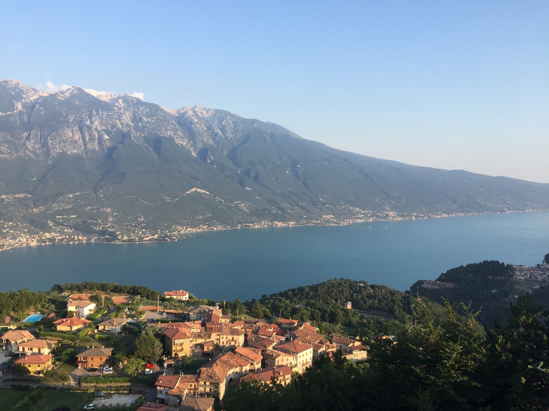 Hotel Pineta Campi主图