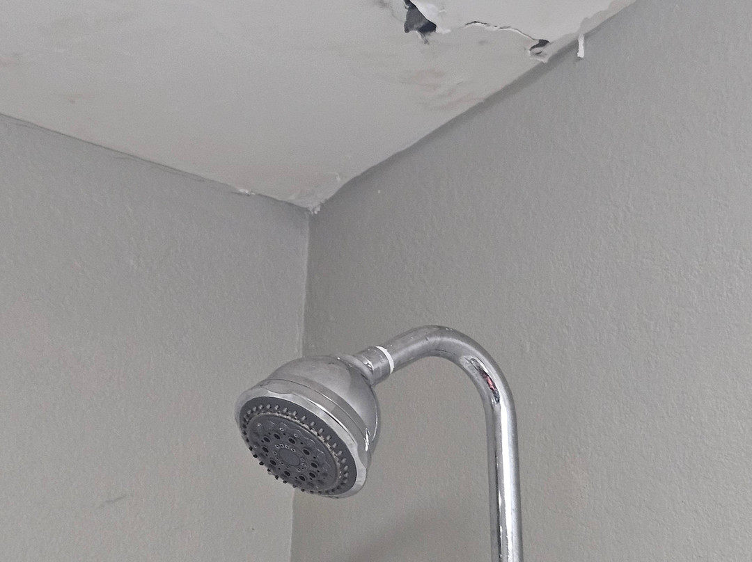 Best Western Royal Inn主图