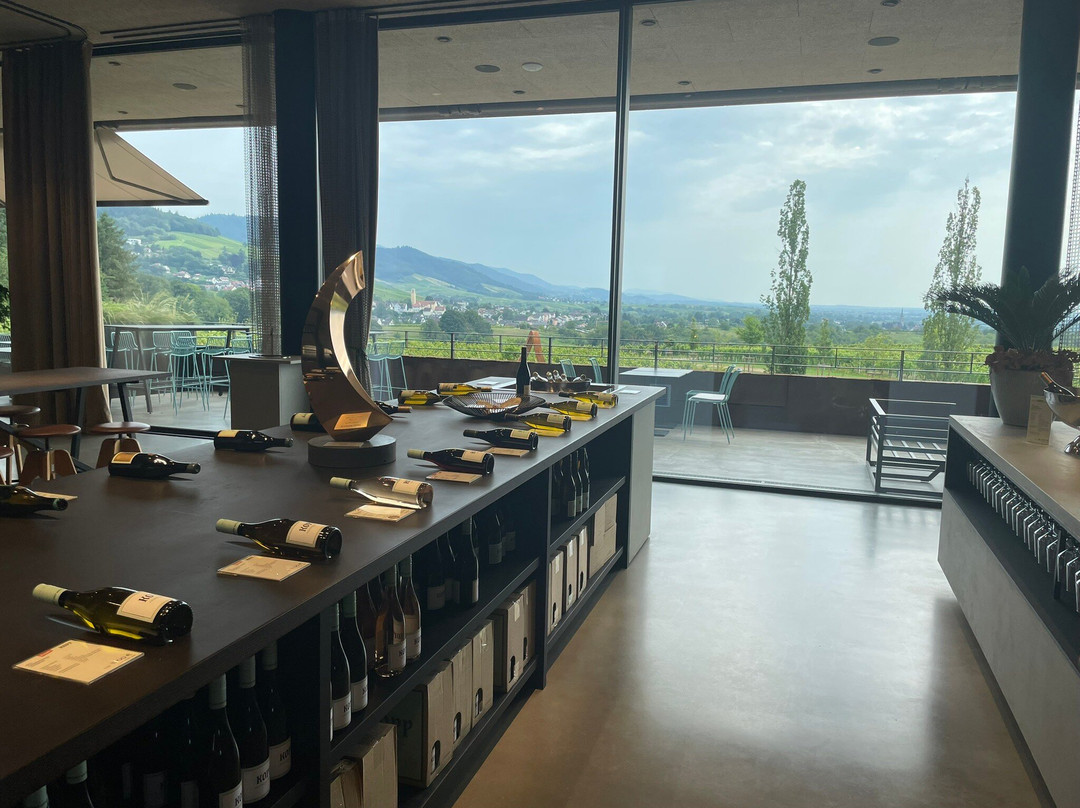 Weingut Kopp景点图片