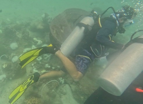 Blacktip Scuba-大皮皮岛必去景点