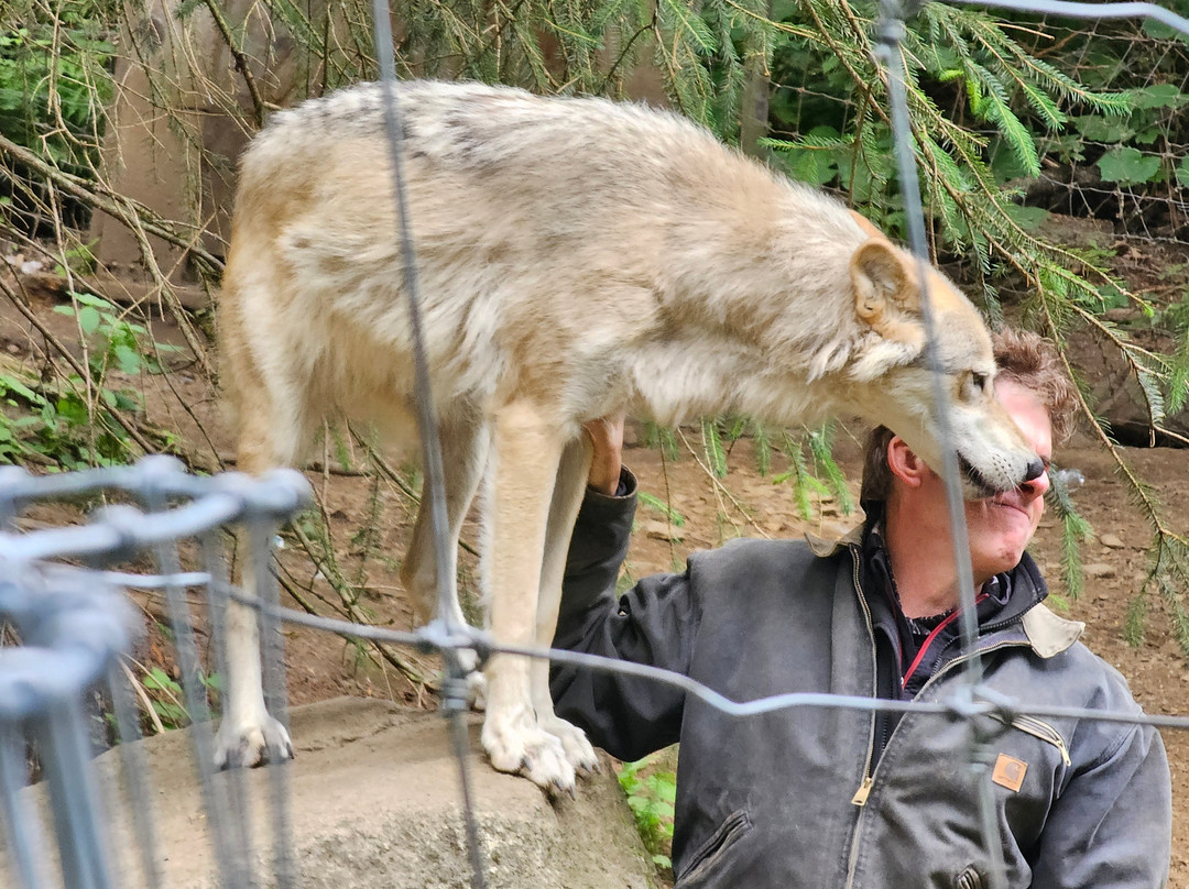 Kroschel Films Wildlife Center-海恩斯必去景点