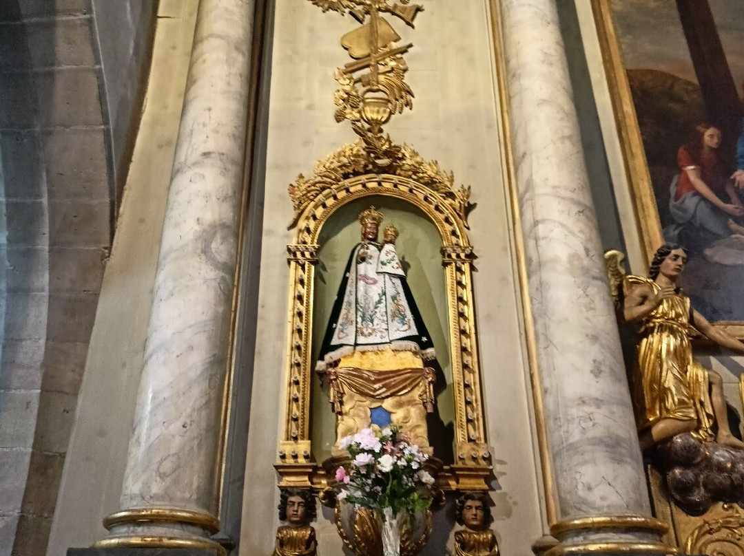 Eglise Notre-Dame des Oliviers景点图片