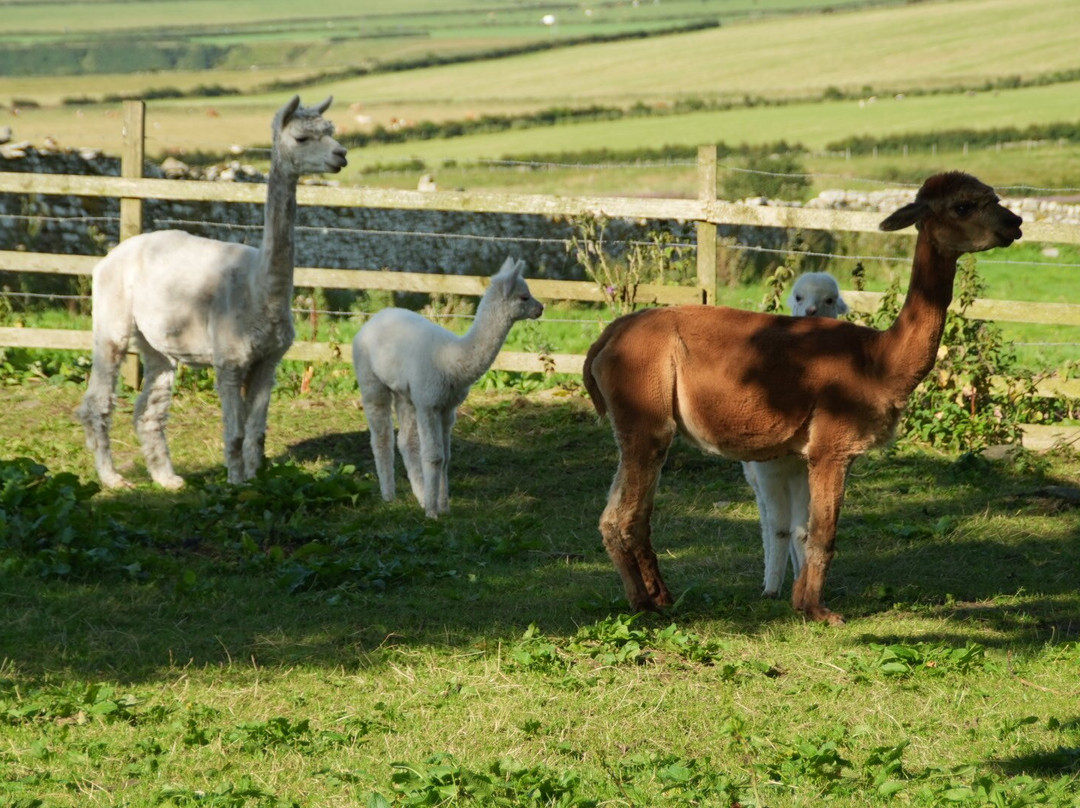 Geise Farm