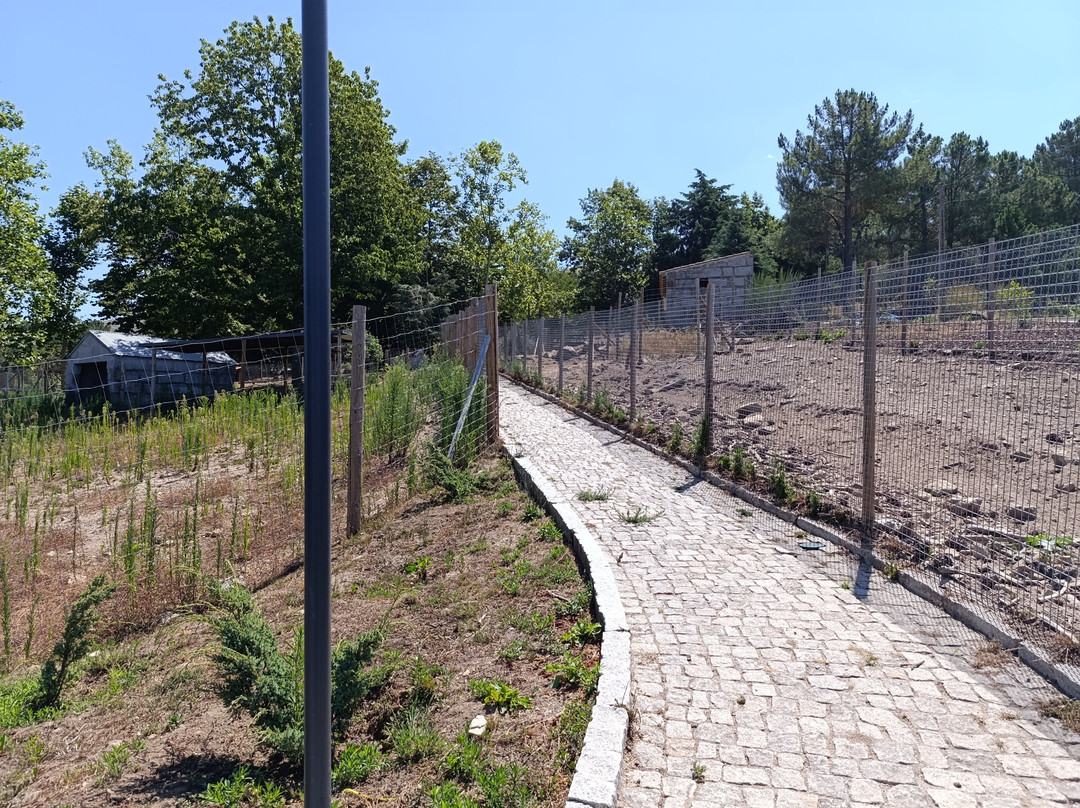Parque Ecologico de Gouveia景点图片