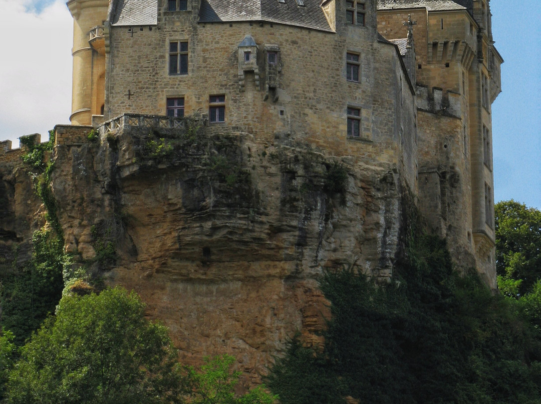 Chateau de Montfort景点图片