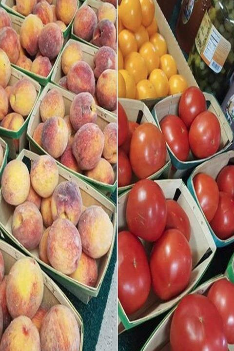 Gatewood Vegetable Farm & Greenhouses, Inc.景点图片