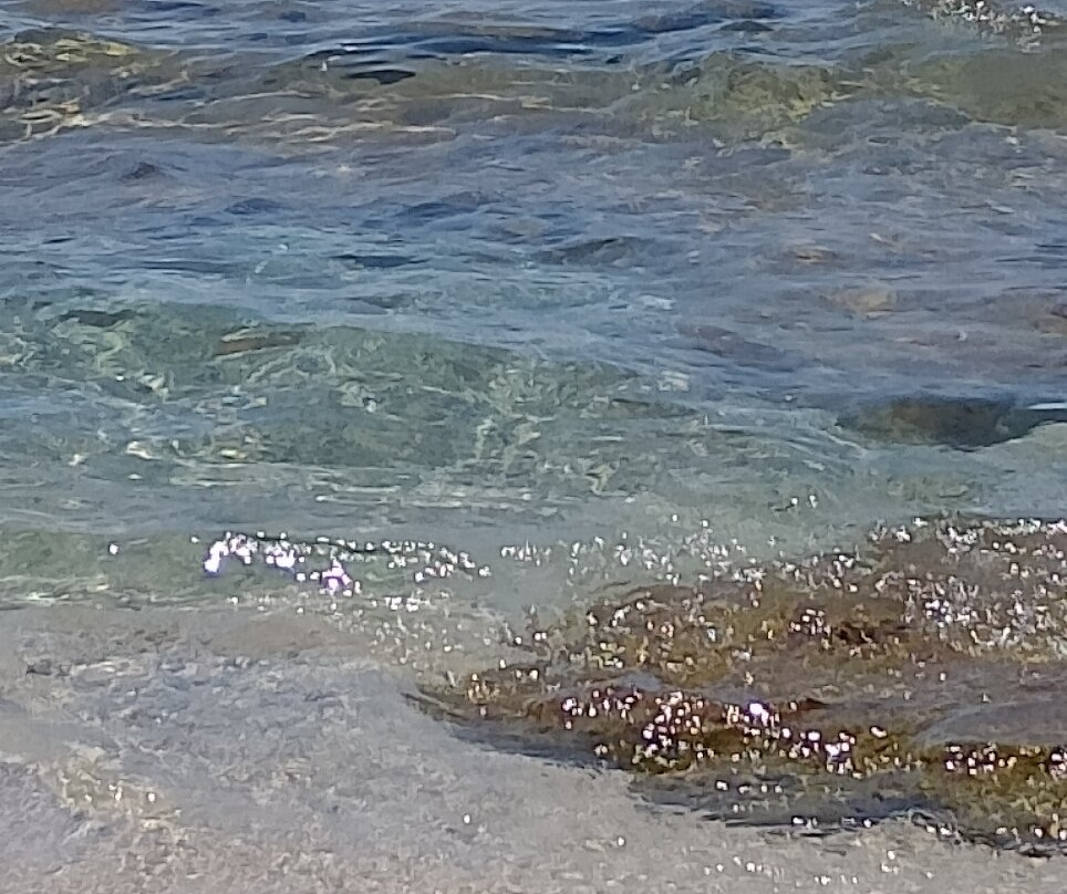 Spiaggia Santa Maria景点图片