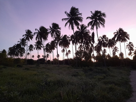 Bahay Tatu Home Concept主图