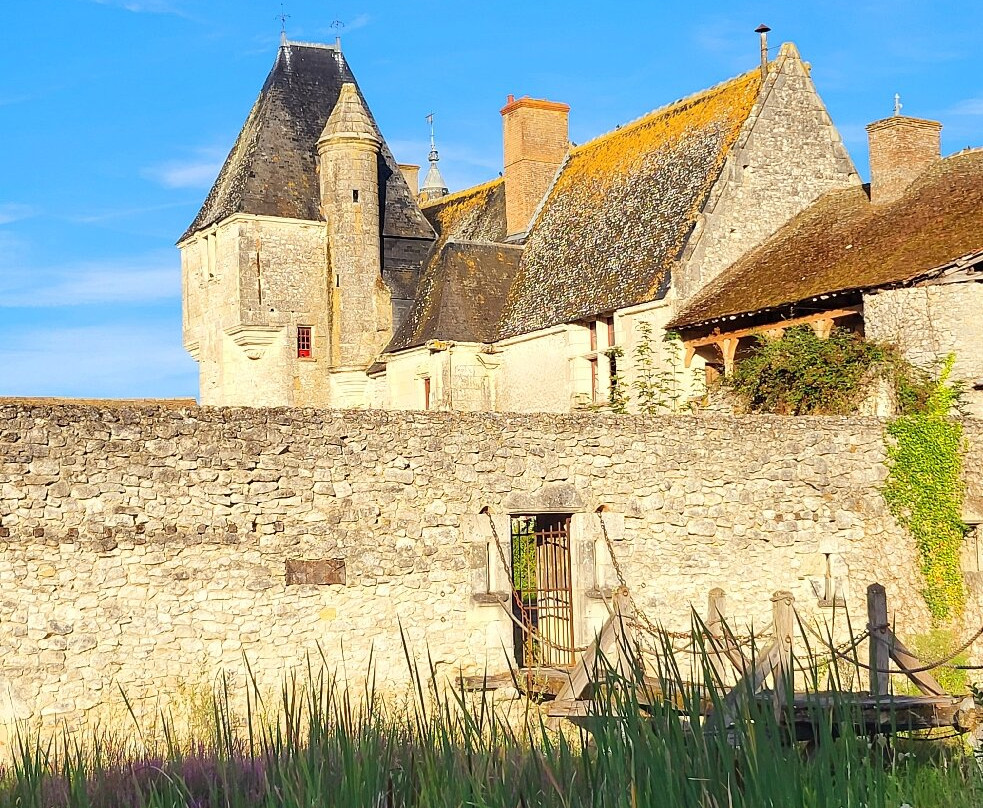 Château de Chémery景点图片