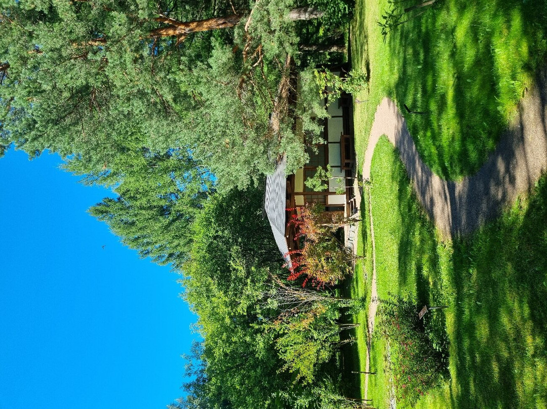 Pereslavskiy Arboretum Named After S.F. Kharitonov景点图片