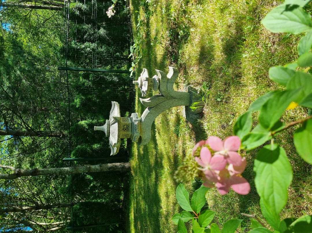 Pereslavskiy Arboretum Named After S.F. Kharitonov景点图片