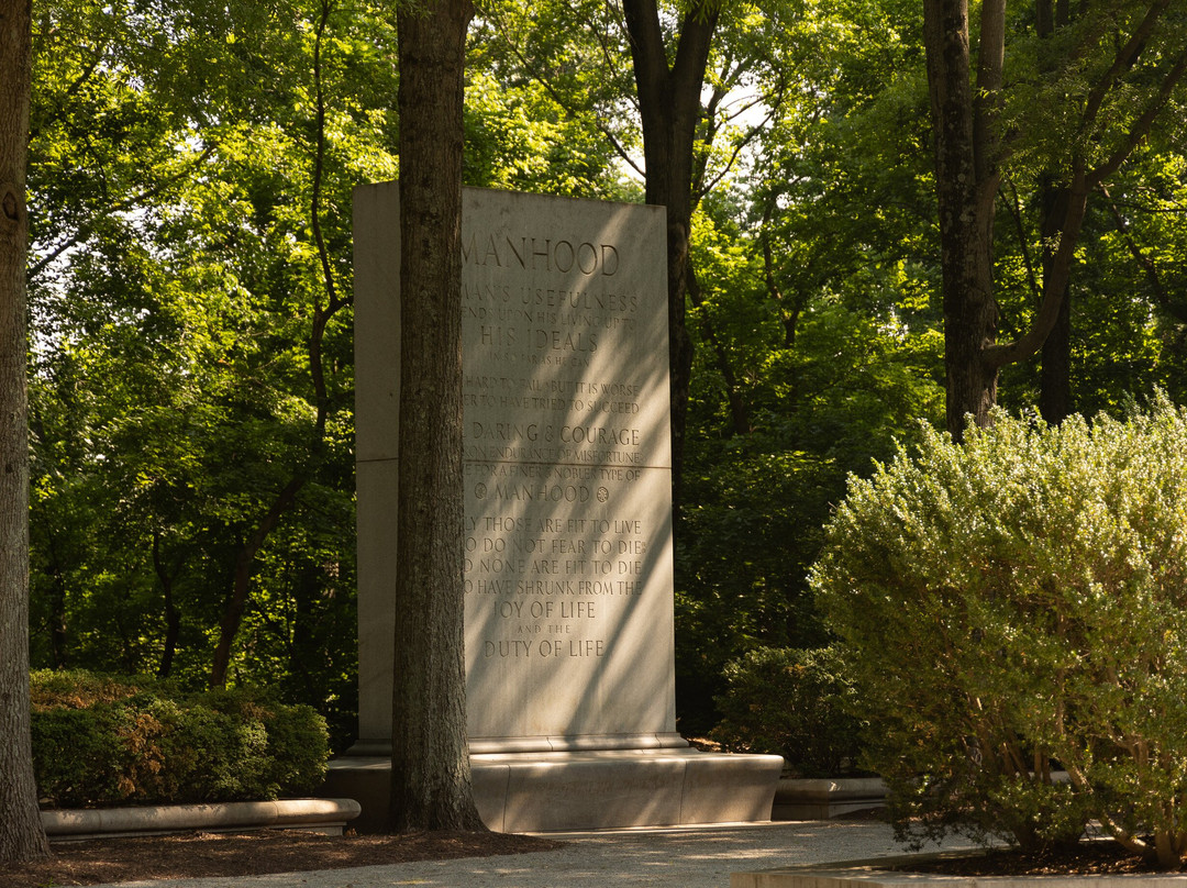 Theodore Roosevelt Island Park景点图片