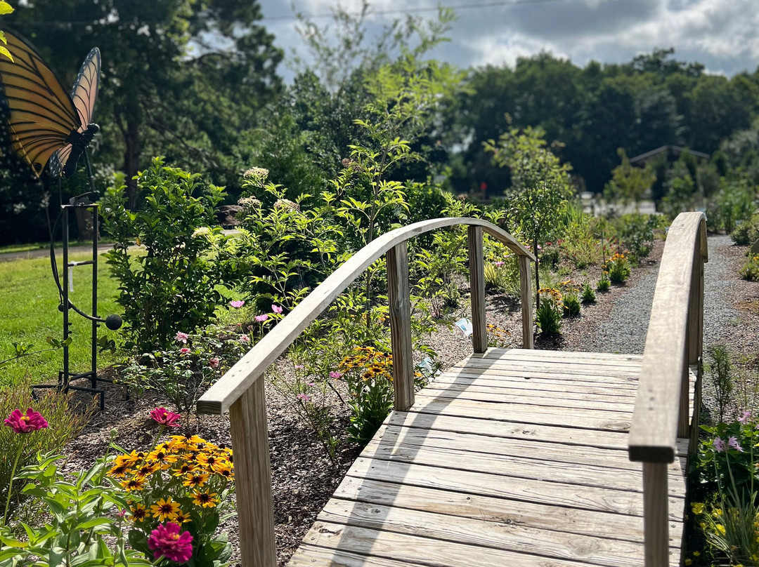 Dothan Nurseries Greenhouse, Gardens, and Gifts-多森必去景点