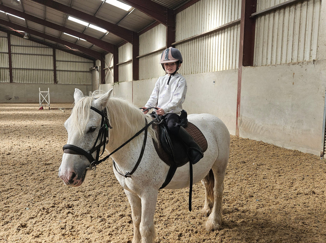 Drumcliffe Equestrian-恩尼斯必去景点