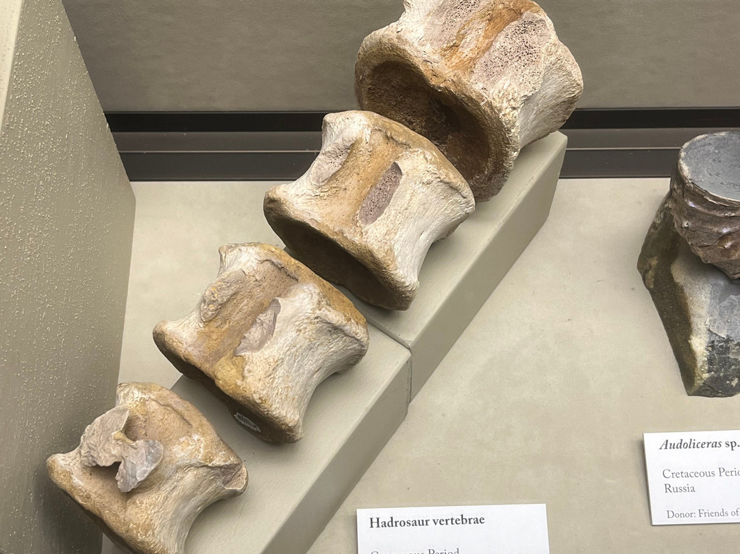 University of Wisconsin Geology Museum-麦迪逊必去景点