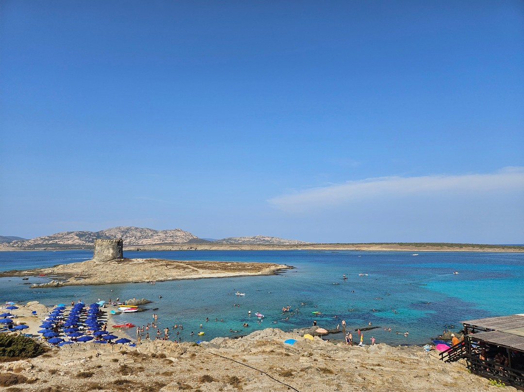 Spiaggia della Pelosetta-斯廷蒂诺必去景点