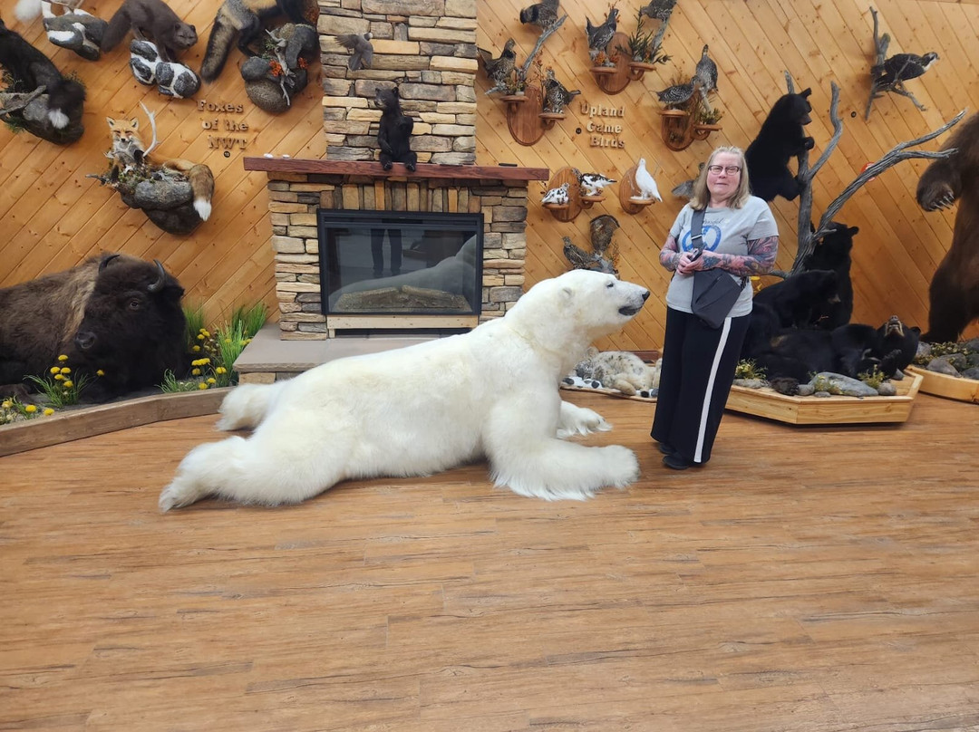 Nature's North Wildlife Gallery-黄刀镇必去景点