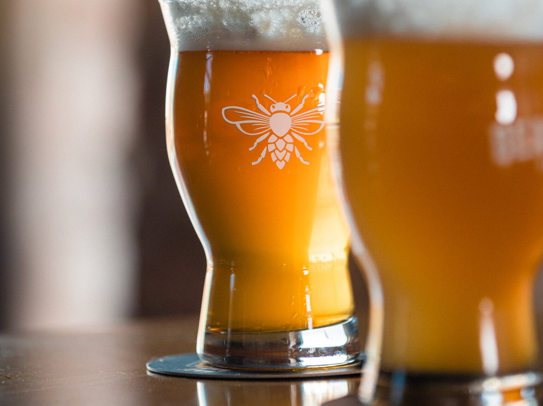 Bearded Bee Brewing Co.-Wendell必去景点