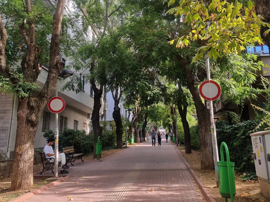 Degirmenburnu Tabiat Parki (Mesire Yeri)-Heybeliada必去景点