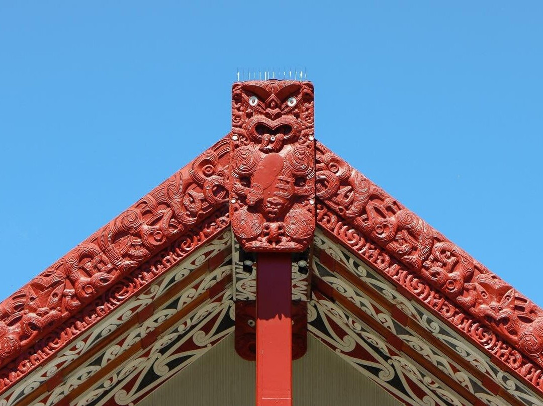 5.5hr Bespoke Te Ao Māori Experience - Departs Tauranga