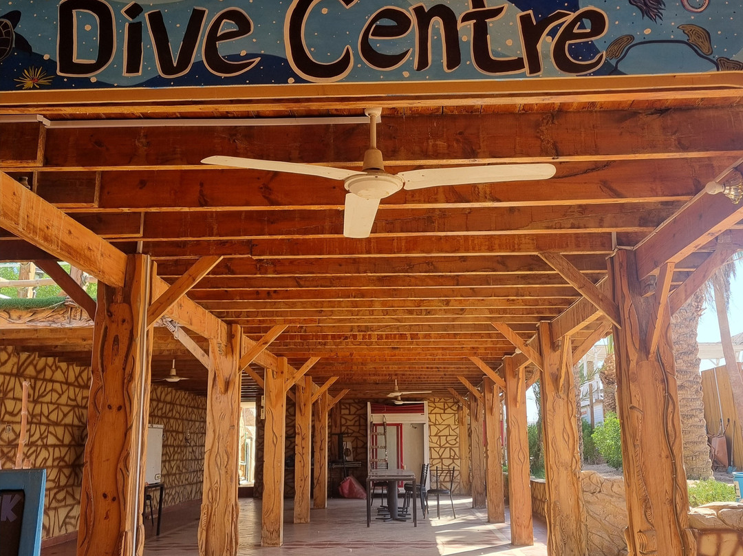 Black Rock Dive Centre-达哈卜必去景点