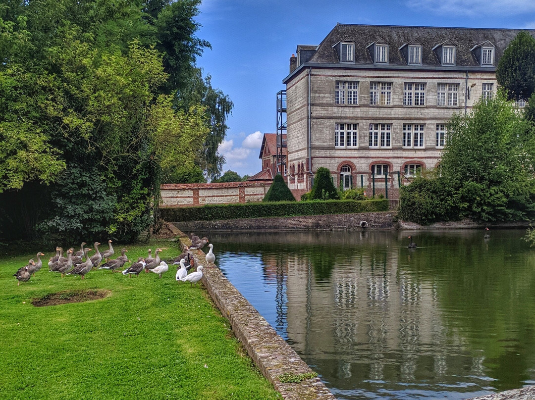 Chateau de Mesnieres景点图片
