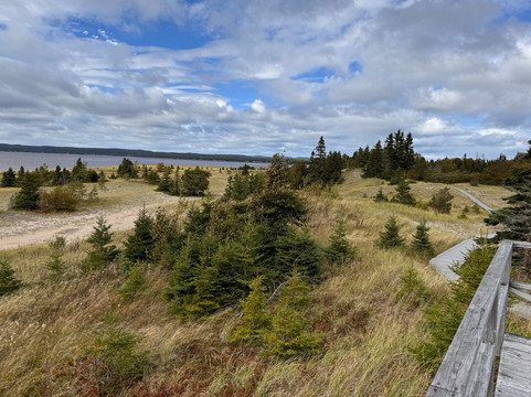 Parc Nature de Pointe-aux-Outardes-Pointe-aux-Outardes必去景点