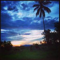 TravellingGreenFrog