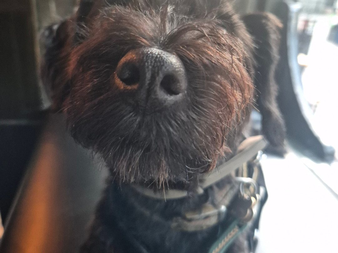 The Jacaranda Club-利物浦必去景点