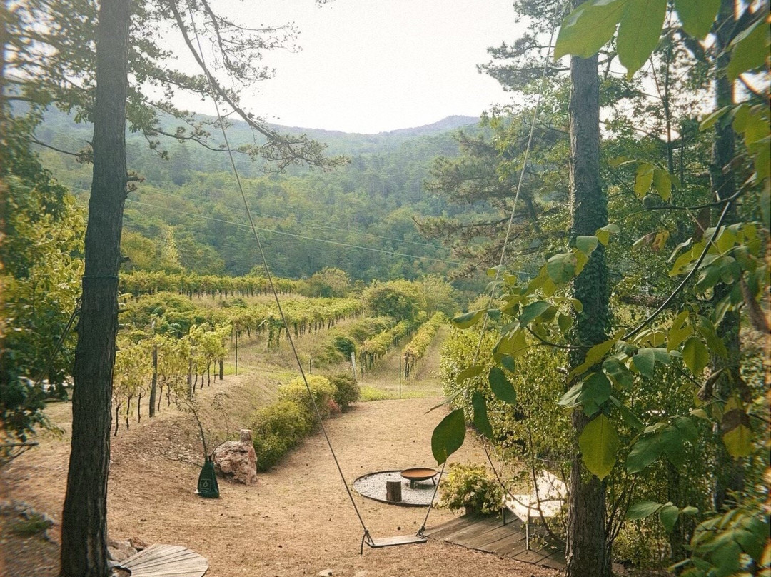 Theodosius Forest Village主图