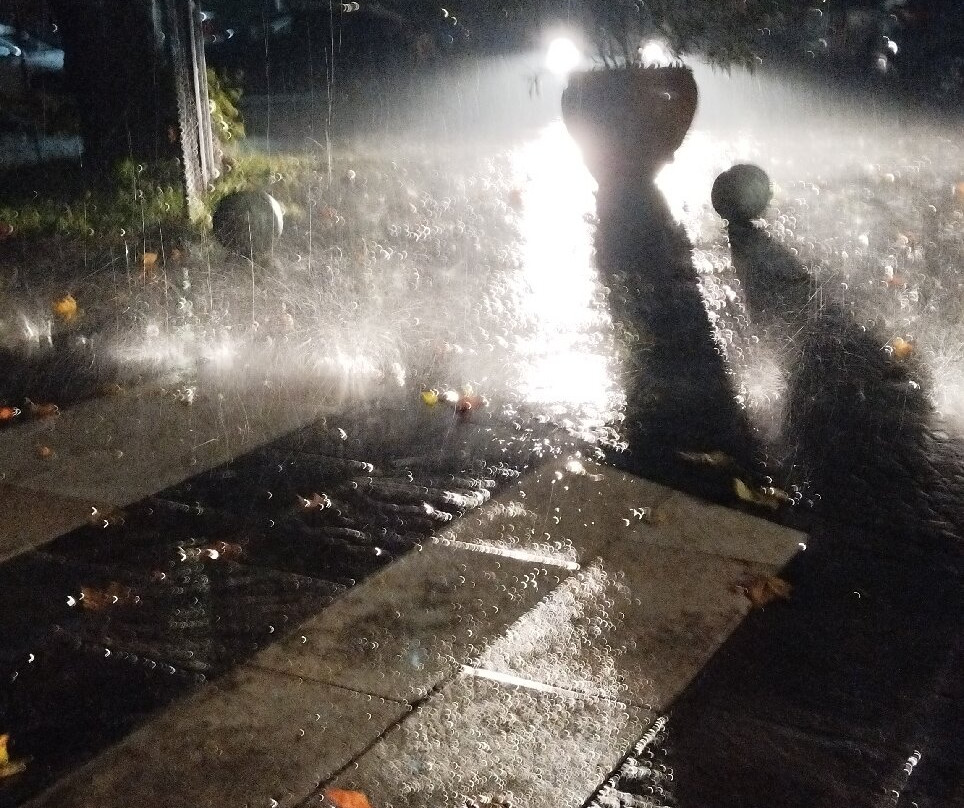 Hotel Villa Ducale主图