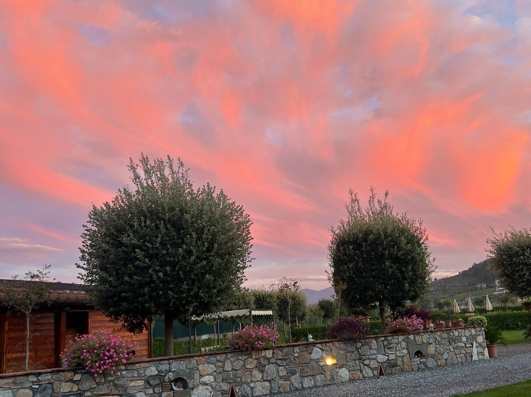 Agriturismo Casa Rosa主图