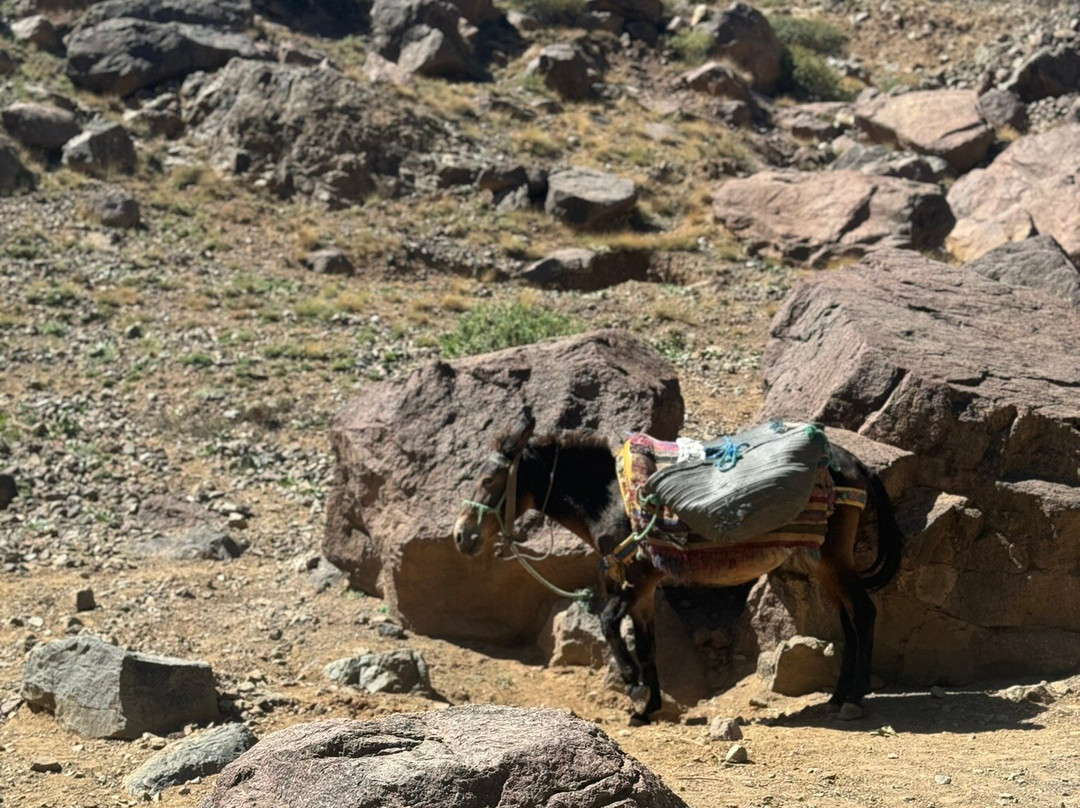 Ibrahim Amzil-马拉喀什必去景点