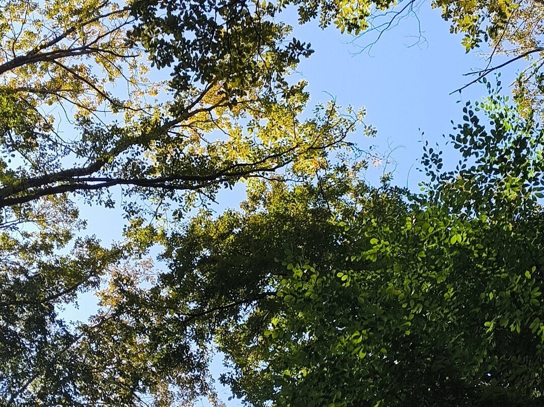 Belgrad Forest-伊斯坦布尔必去景点