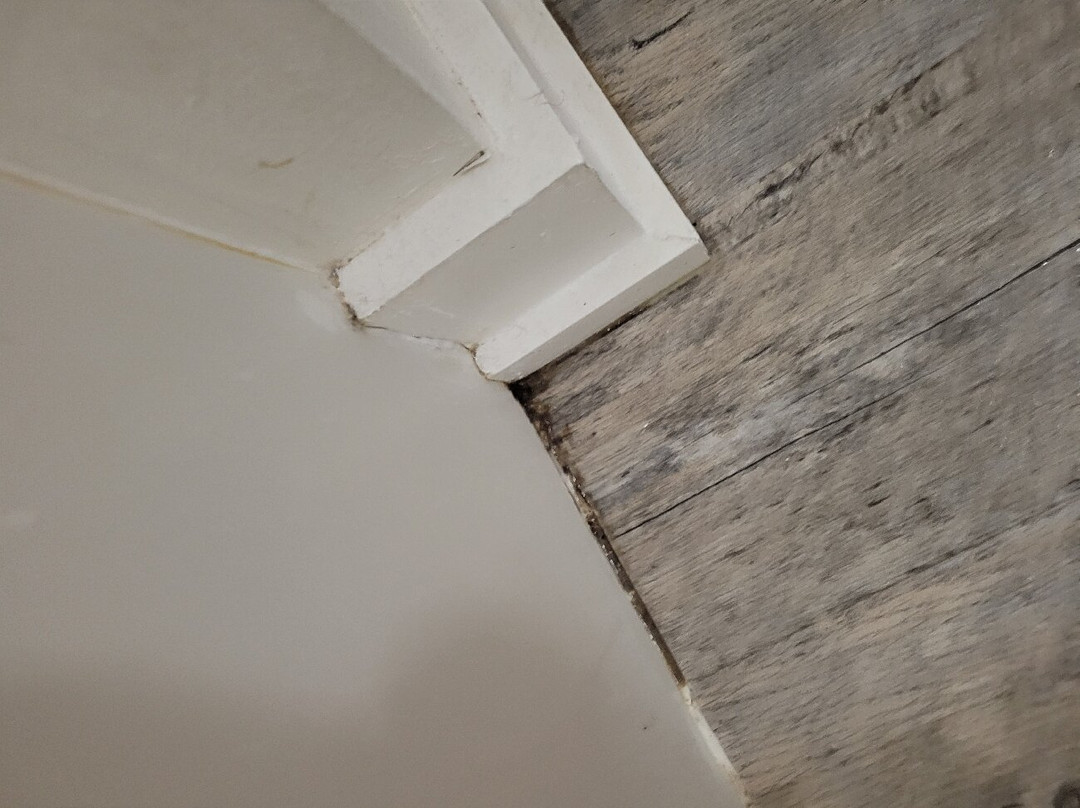 Hotel Pensacola主图