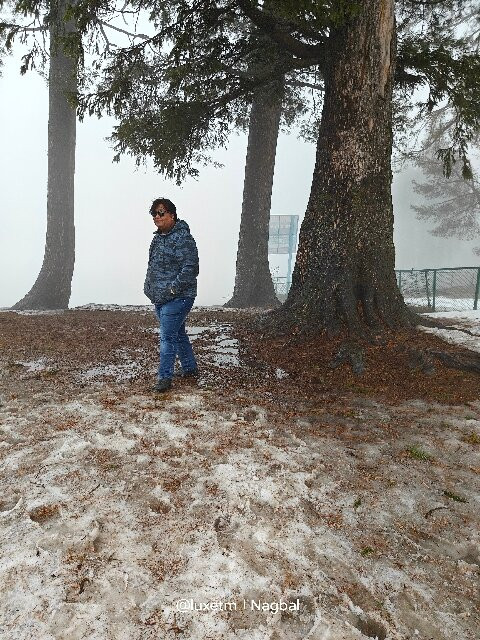 Gulmarg Zahgeer Continental主图