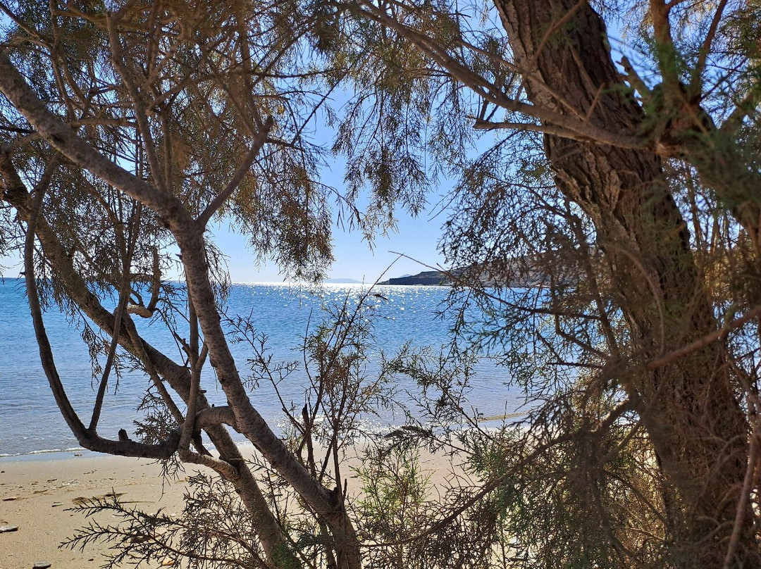 Zogaki-Aosa必去景点