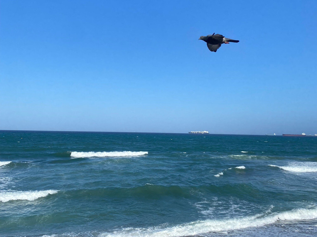 Playa de la Atunara景点图片