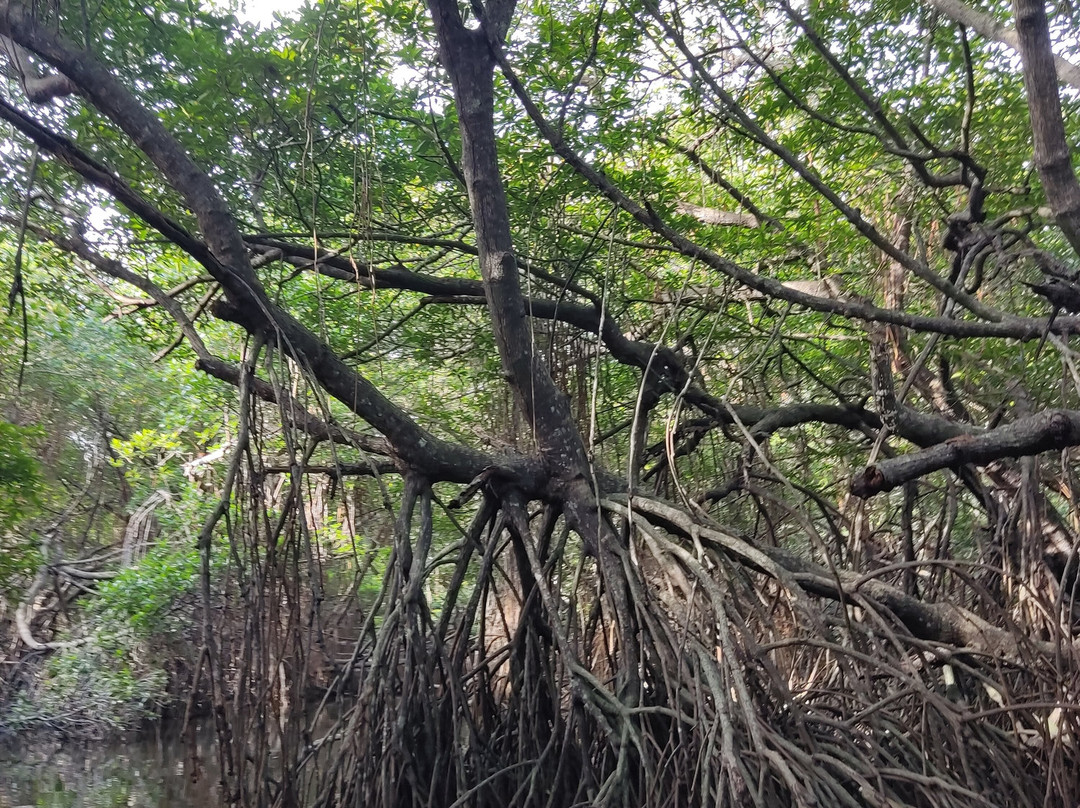 Sunshine Water Sports Centre-Aluthgama必去景点