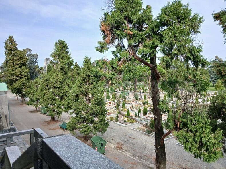 Cimitero Maggiore di Milano景点图片