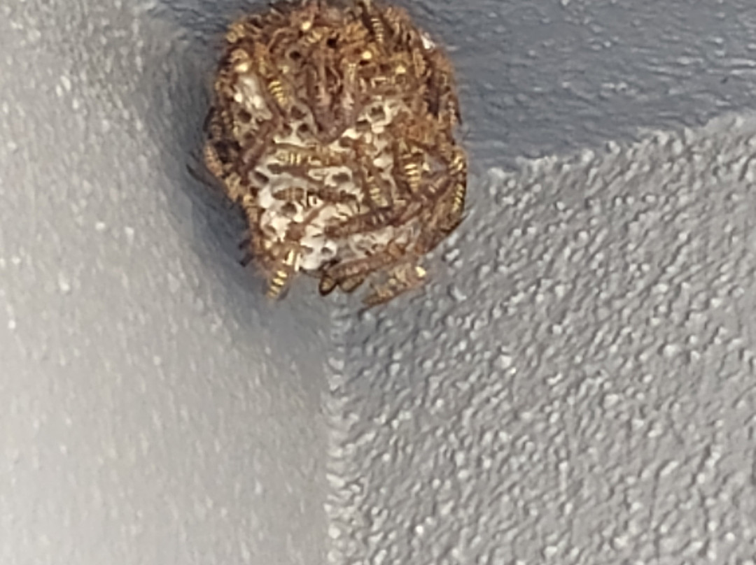 亚特兰大德卢斯/格威内特广场万怡酒店主图