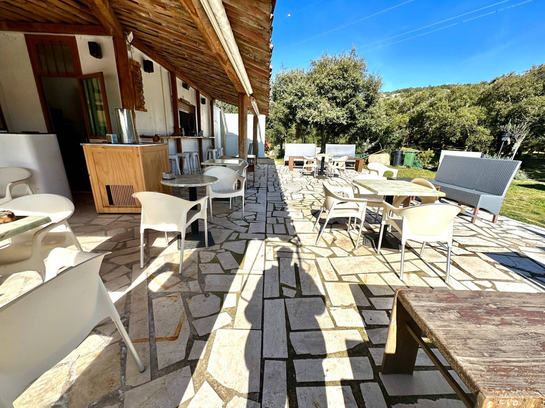 Snack Bar La Tredici