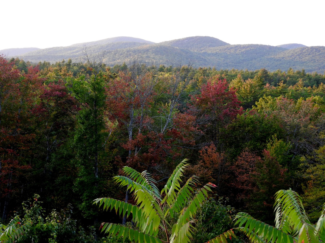 The Midway Country Lodging主图