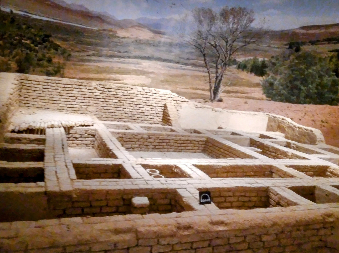 Sanliurfa Arkeoloji ve Mozaik Muzesi-Sanliurfa必去景点