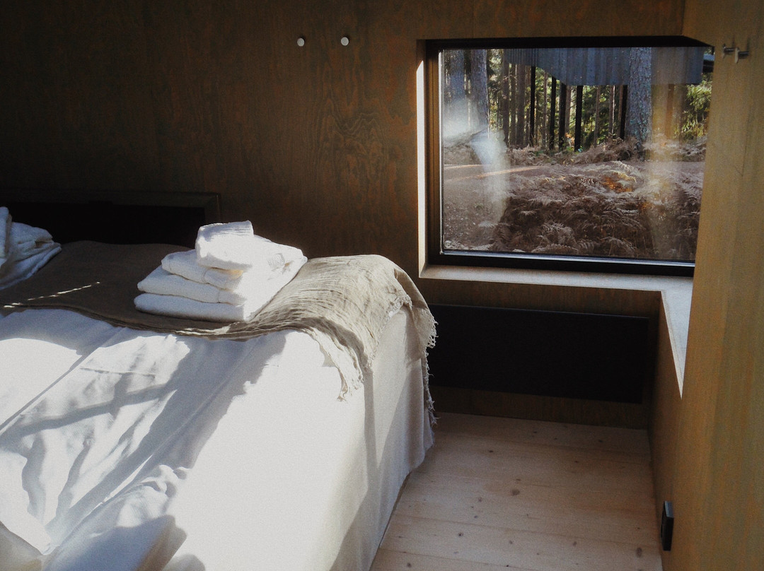 Trakt Forest Hotel主图